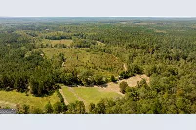 0 Poole Road, Ellaville, GA 31806 - Photo 15