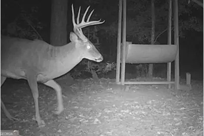 0 Poole Road, Ellaville, GA 31806 - Photo 21