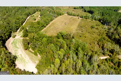 0 Poole Road, Ellaville, GA 31806 - Photo 3