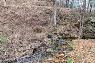 112 Starlight Wy, Blairsville, GA 30512 - Photo 7