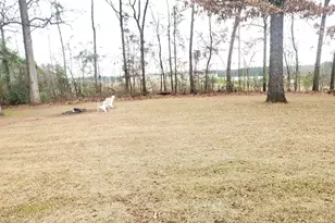 4223 37th Ct SW, Lanett, AL 36863 - Photo 25