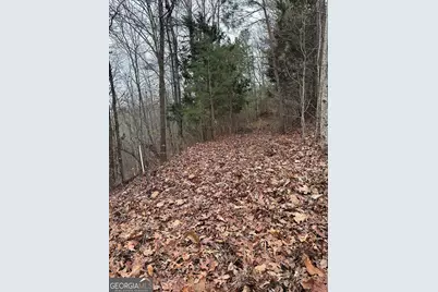 306 Oberlin Court, Ranger, GA 30734 - Photo 11