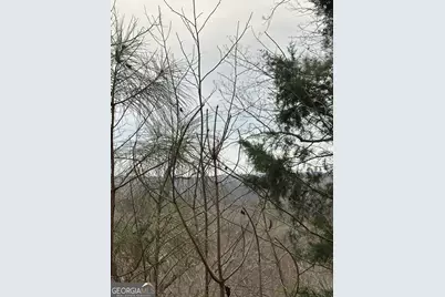 306 Oberlin Court, Ranger, GA 30734 - Photo 9