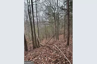 306 Oberlin Court, Ranger, GA 30734 - Photo 5