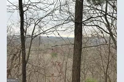 306 Oberlin Court, Ranger, GA 30734 - Photo 11