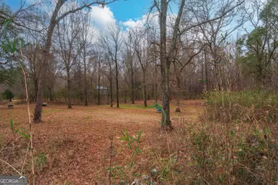 0 Turkey Run Road #LOT 4, Juliette, GA 31046 - Photo 11
