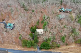 143 Kaely Dr, Mineral Bluff, GA 30559 - Photo 67