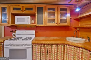 143 Kaely Dr, Mineral Bluff, GA 30559 - Photo 55