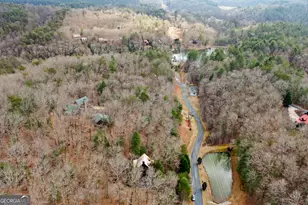 143 Kaely Dr, Mineral Bluff, GA 30559 - Photo 69