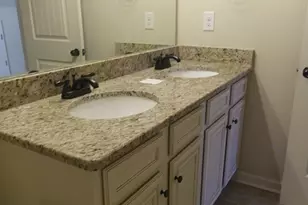 307 Cinnamon Bark Pass, Locust Grove, GA 30248 - Photo 25