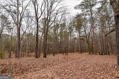 18 Ridgecrest Drive, Thomaston, GA 30286 - Photo 21