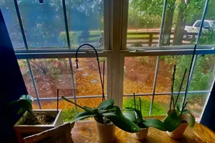 290 Poplar Creek Rd, Stephens, GA 30667 - Photo 41