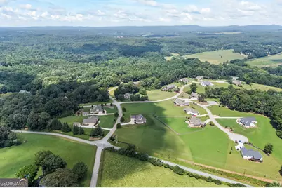 124 Rockford Farm Drive, Clarkesville, GA 30523 - Photo 53