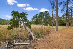 314 Mill Run Rd, Richmond Hill, GA 31324 - Photo 59