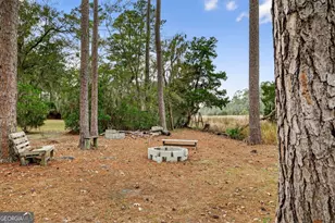 314 Mill Run Rd, Richmond Hill, GA 31324 - Photo 57