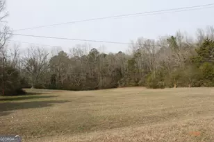 877 Magic Hill Loop, Shiloh, GA 31826 - Photo 27