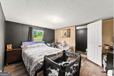 303 Blakely Chappelear Road, Martin, GA 30557 - Photo 7