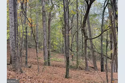 2538 Mount Zion, Oxford, GA 30054 - Photo 13