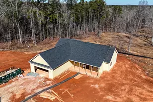 431 Andrews Mill Rd, Greenville, GA 30222 - Photo 19