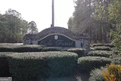 206 Cole Forest Boulevard, Barnesville, GA 30204 - Photo 35