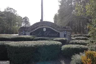 206 Cole Forest Blvd, Barnesville, GA 30204 - Photo 35