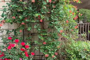 272 Chesterfield Rd, Bogart, GA 30622 - Photo 25