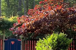 272 Chesterfield Rd, Bogart, GA 30622 - Photo 27