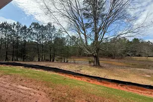 1029 S Jeff Davis Dr, Fayetteville, GA 30215 - Photo 9