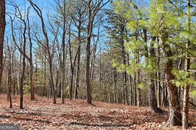 0 Mountain Sweet Drive #LOTS 58 &amp; 59, Clarkesville, GA 30523 - Photo 17