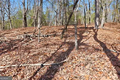 0 Mountain Sweet Drive #LOTS 58 &amp; 59, Clarkesville, GA 30523 - Photo 11