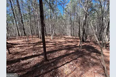 Lot 50 Deyton Drive, Blairsville, GA 30512 - Photo 15