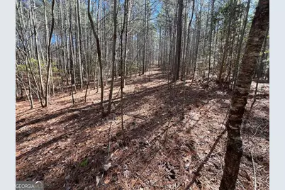 Lot 50 Deyton Drive, Blairsville, GA 30512 - Photo 17