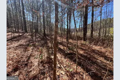 Lot 50 Deyton Drive, Blairsville, GA 30512 - Photo 13