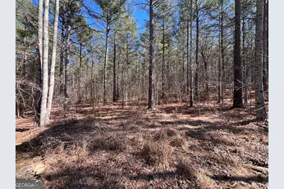 Lot 50 Deyton Drive, Blairsville, GA 30512 - Photo 7