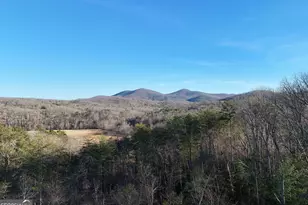 306 Native Trl, Blue Ridge, GA 30513 - Photo 19