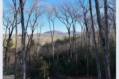 306 Native Trail, Blue Ridge, GA 30513 - Photo 17