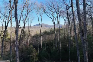 306 Native Trl, Blue Ridge, GA 30513 - Photo 17