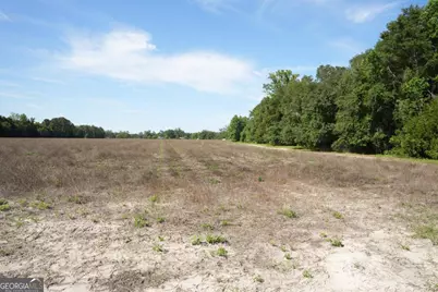 1800 Olive Branch Road, Ellabell, GA 31308 - Photo 13