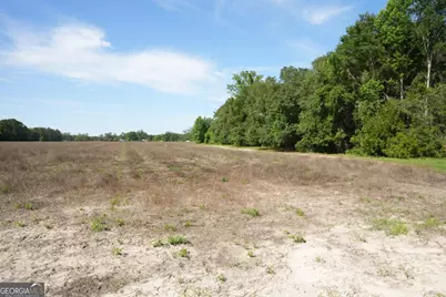 1800 Olive Branch Road, Ellabell, GA 31308 - Photo 19