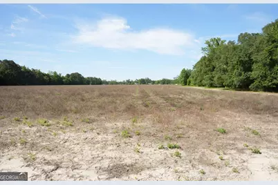 1800 Olive Branch Road, Ellabell, GA 31308 - Photo 15