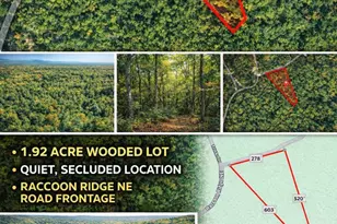 1022 Raccoon Ridge Rd, Ranger, GA 30734 - Photo 1