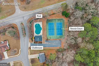 422 Old Ivy Path, McDonough, GA 30253 - Photo 49