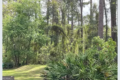 2.18 Acres Sailfish Drive, Darien, GA 31305 - Photo 1