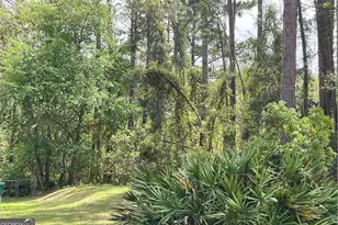 2 18 Acres Sailfish Dr, Darien, GA 31305 - Photo 1