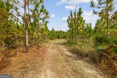 0 Highway 297 #TRACTS 2, 3, 4 &amp; 5, Soperton, GA 30457 - Photo 9
