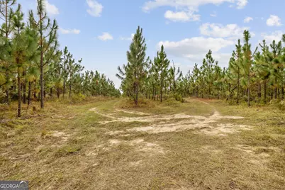 0 Highway 297 #TRACTS 2, 3, 4 &amp; 5, Soperton, GA 30457 - Photo 7