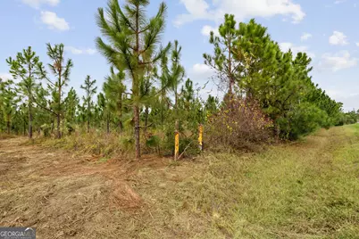 0 Highway 297 #TRACTS 2, 3, 4 &amp; 5, Soperton, GA 30457 - Photo 3