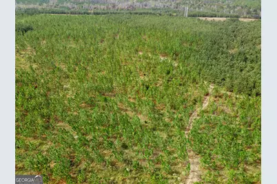 0 Highway 297 #TRACT 2 &amp; 3, Soperton, GA 30457 - Photo 13