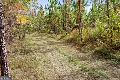 0 Highway 297 #TRACT 2 &amp; 3, Soperton, GA 30457 - Photo 11
