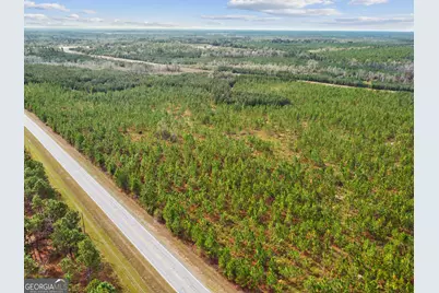 0 Highway 297 #TRACT 2 &amp; 3, Soperton, GA 30457 - Photo 15